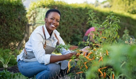 middle aged woman gardening and feeling healthy