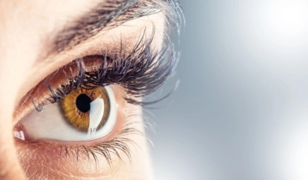 close up of a brown eye